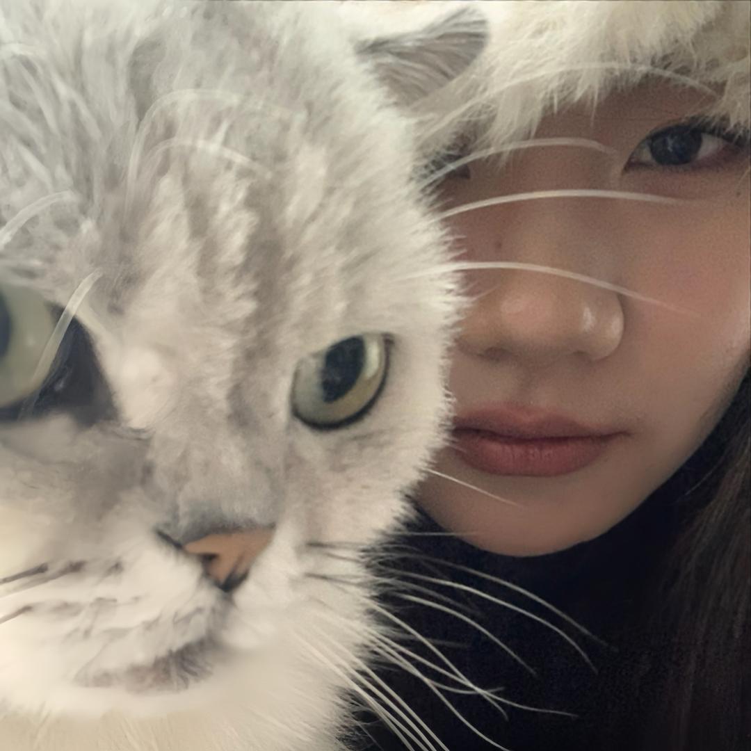 羊了个晶