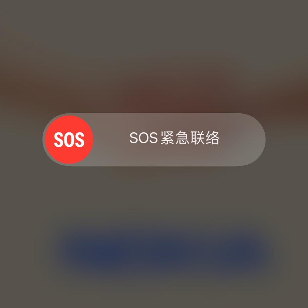 Z卑微小王子