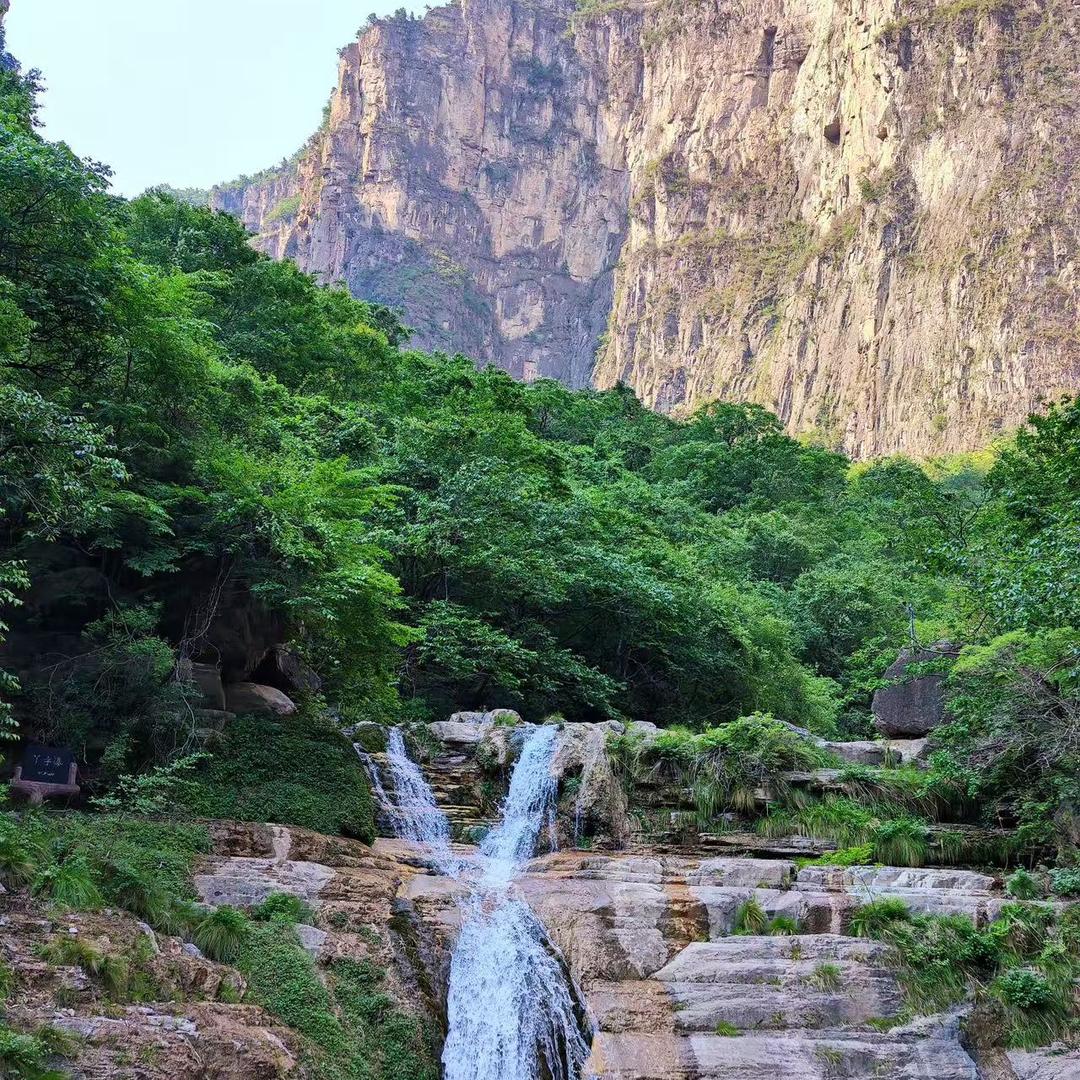 中岳嵩山黄精