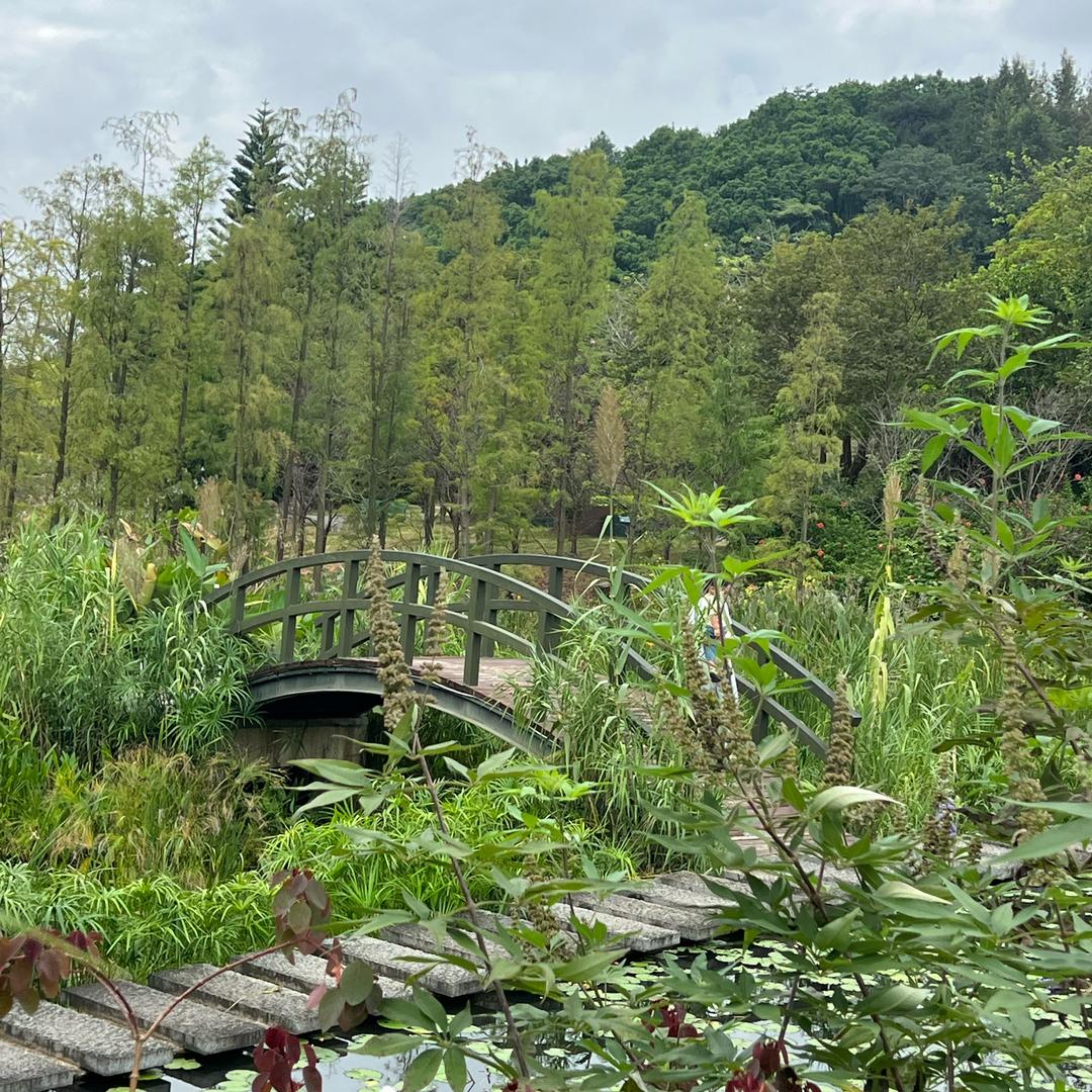 又摘桃花换酒钱