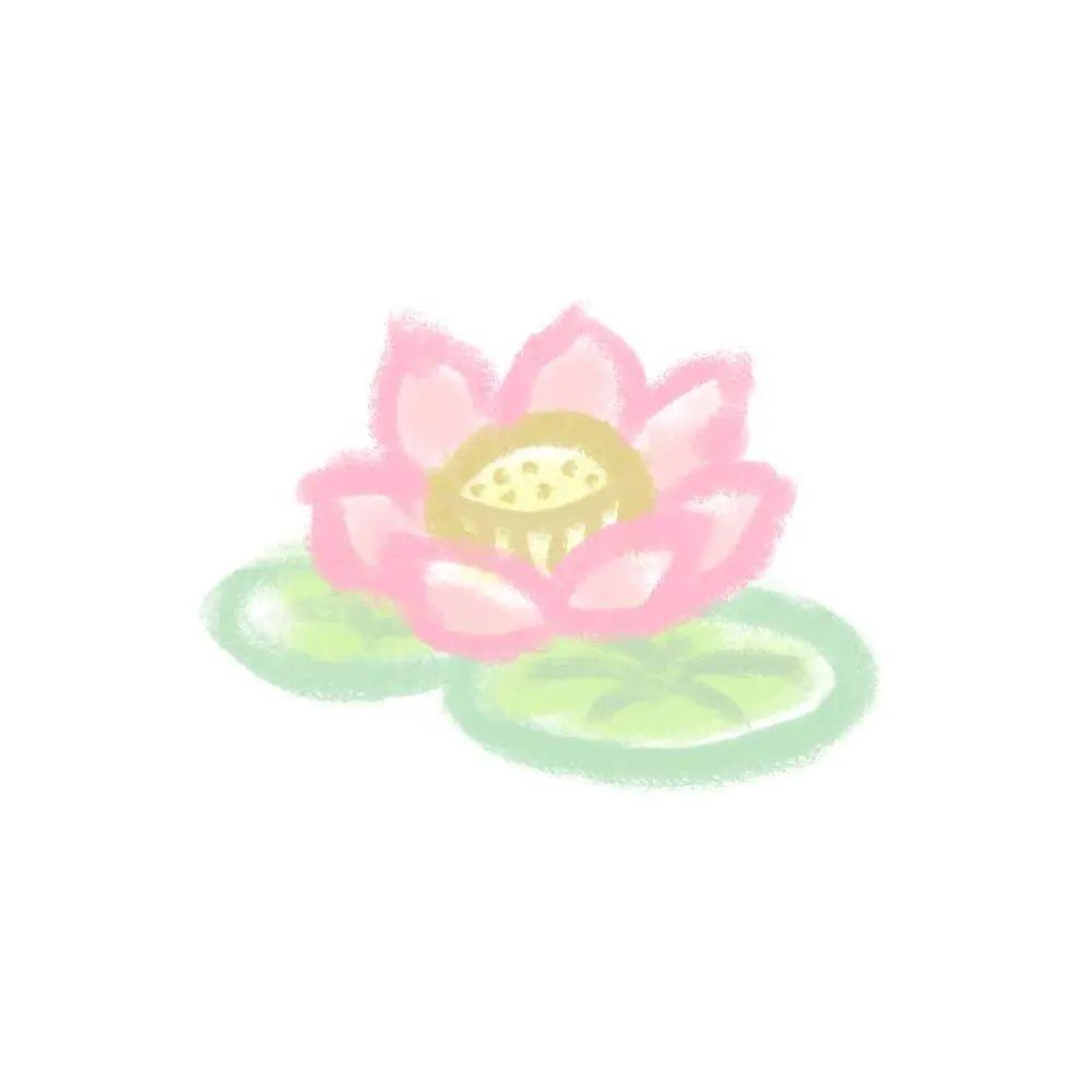 嘎嘎不困