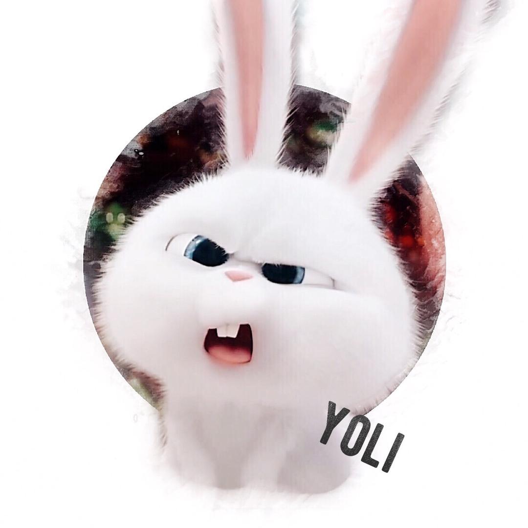 YoLi