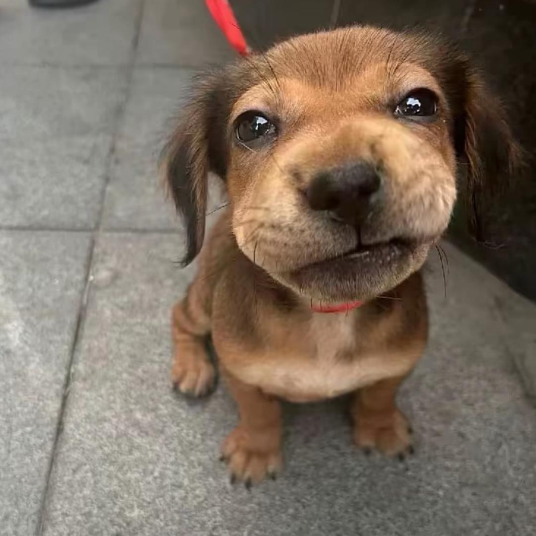 白白