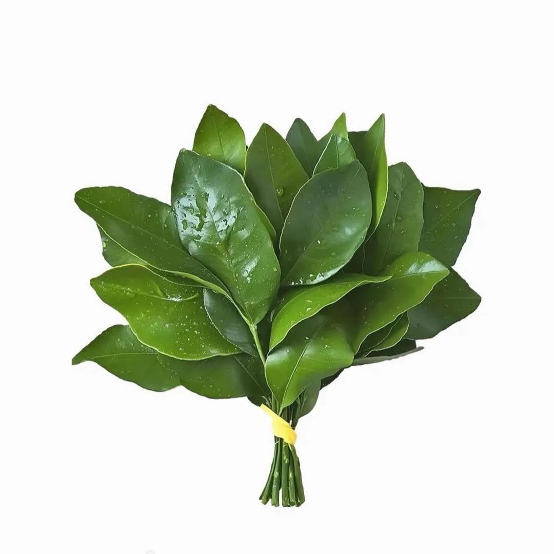 重生之九十二岁变态老蟑螂调戏八十岁小奶狗