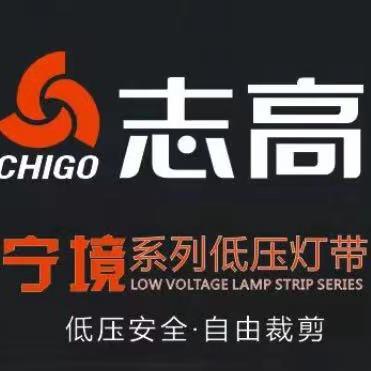 志高灯带照明