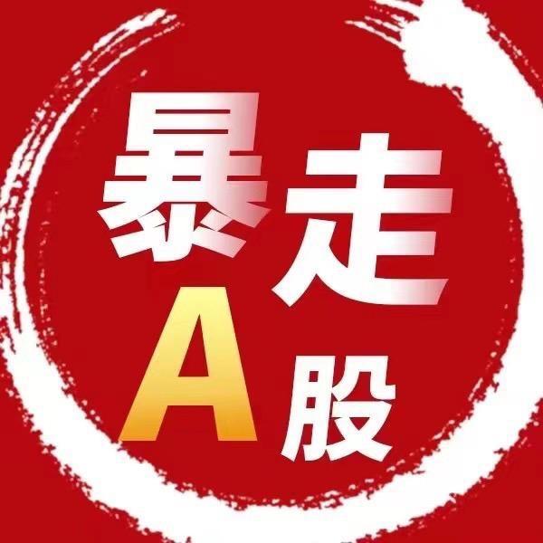 暴走A股