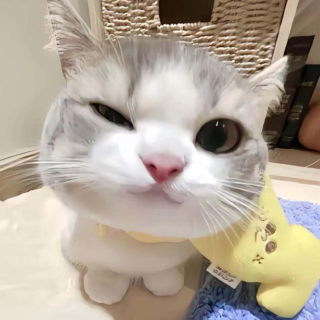 豆豆乖^