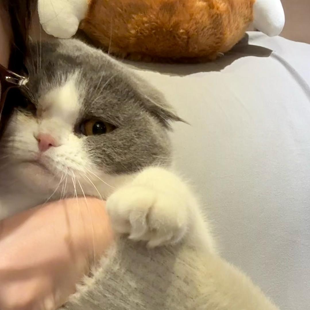 耳机