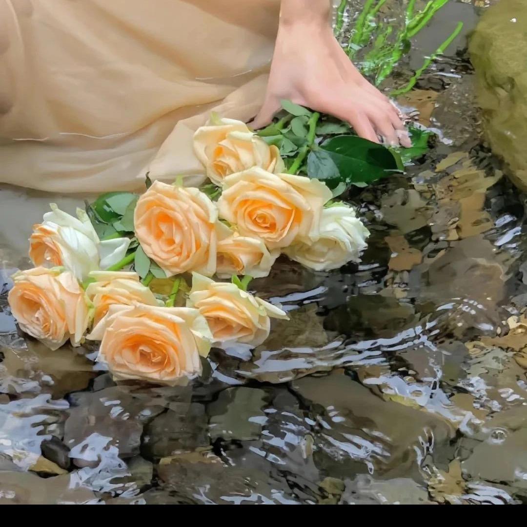 小馨馨