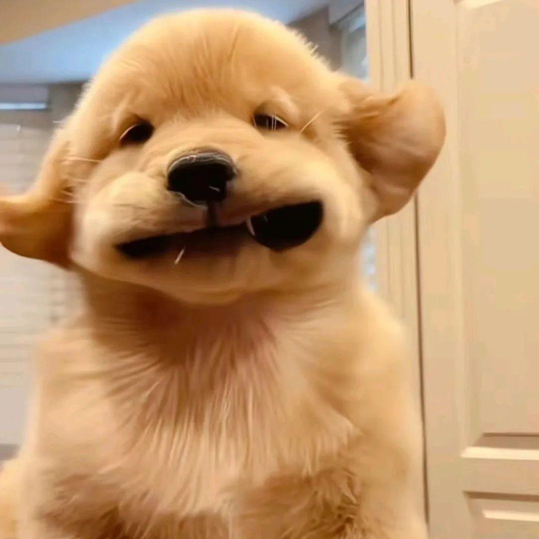 小杨手机那点事