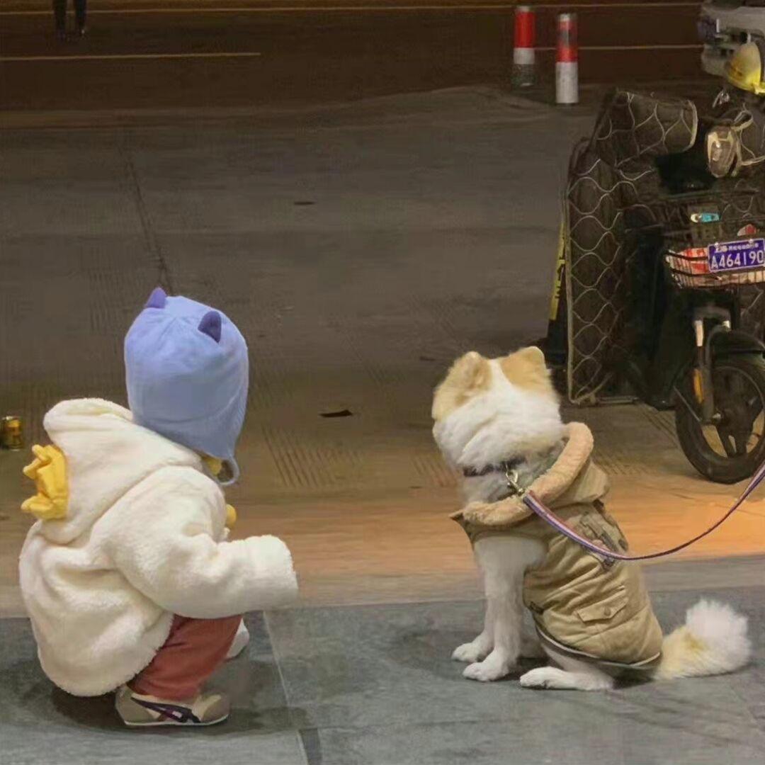 小小小小⭐️