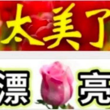大ཽ雁ཽ高ཽ飞ཽ
