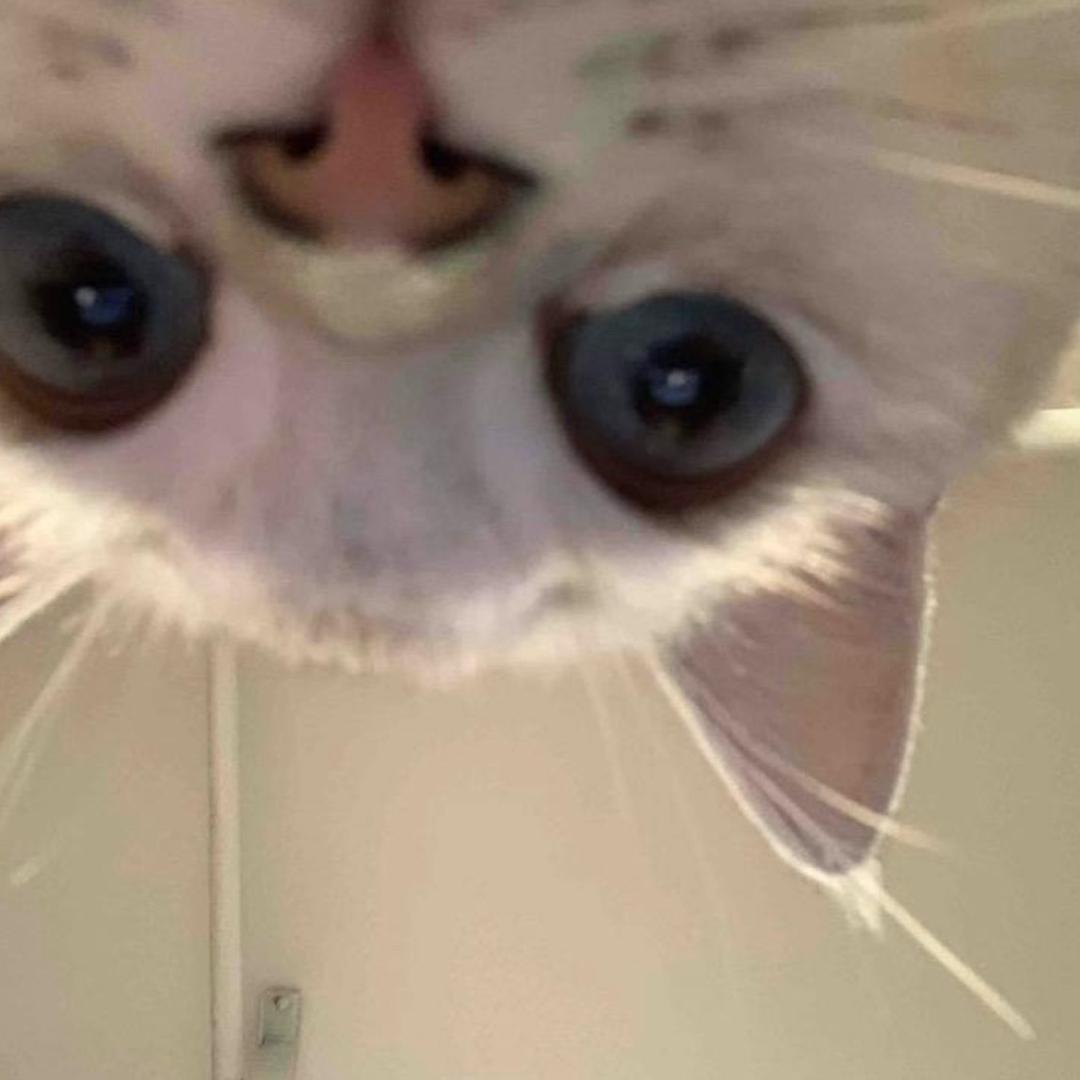 喜欢睡觉的好处