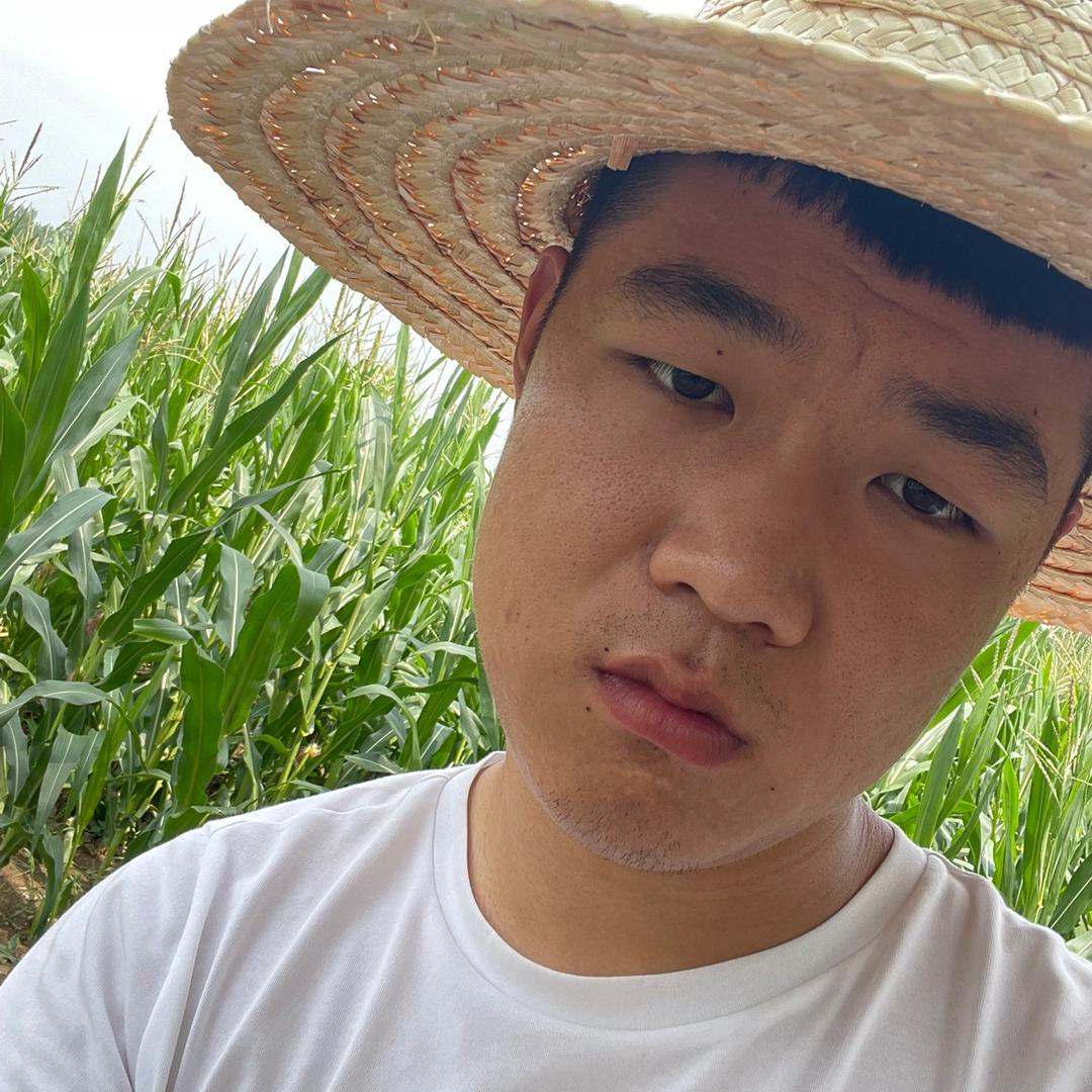 快乐西瓜