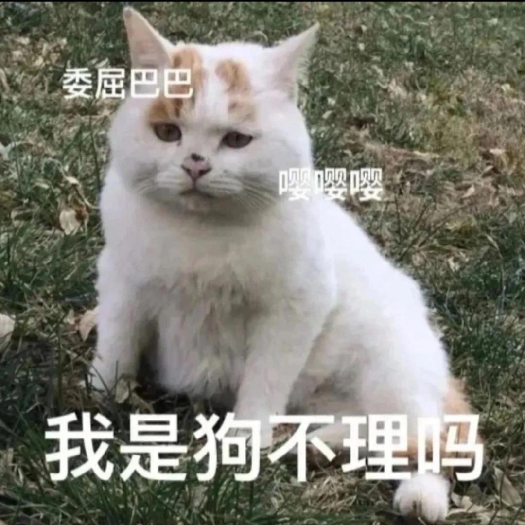 发癫的母蟑螂