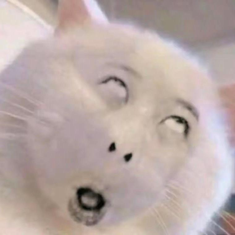 🌈🍚、😴、怼人🧺🌈