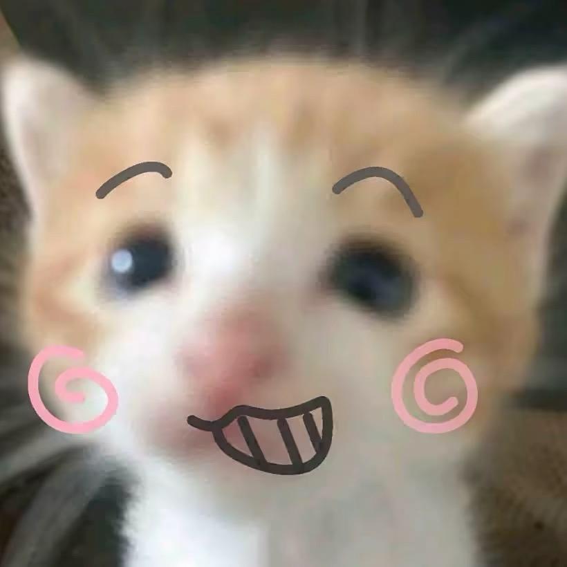小琪崽