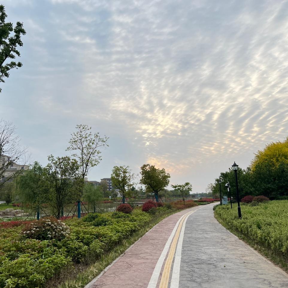 👑悦悦悦悦吖