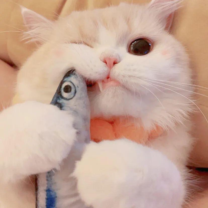 💋