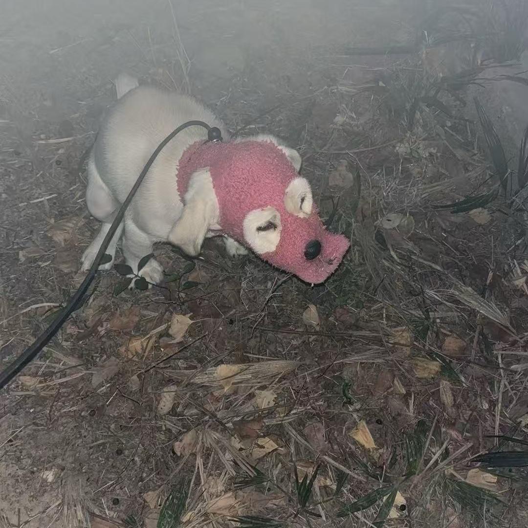 小时侯