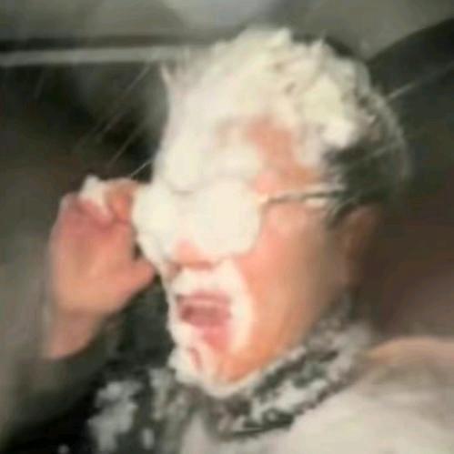 披着桌布的鸭嘴兽