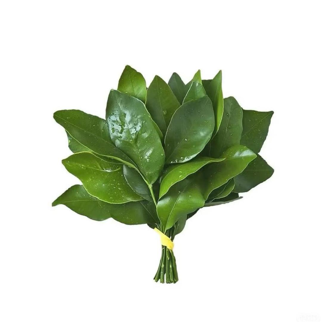 ～·