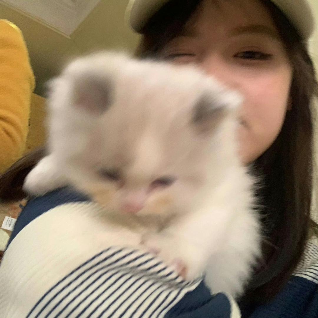 晚睡郑