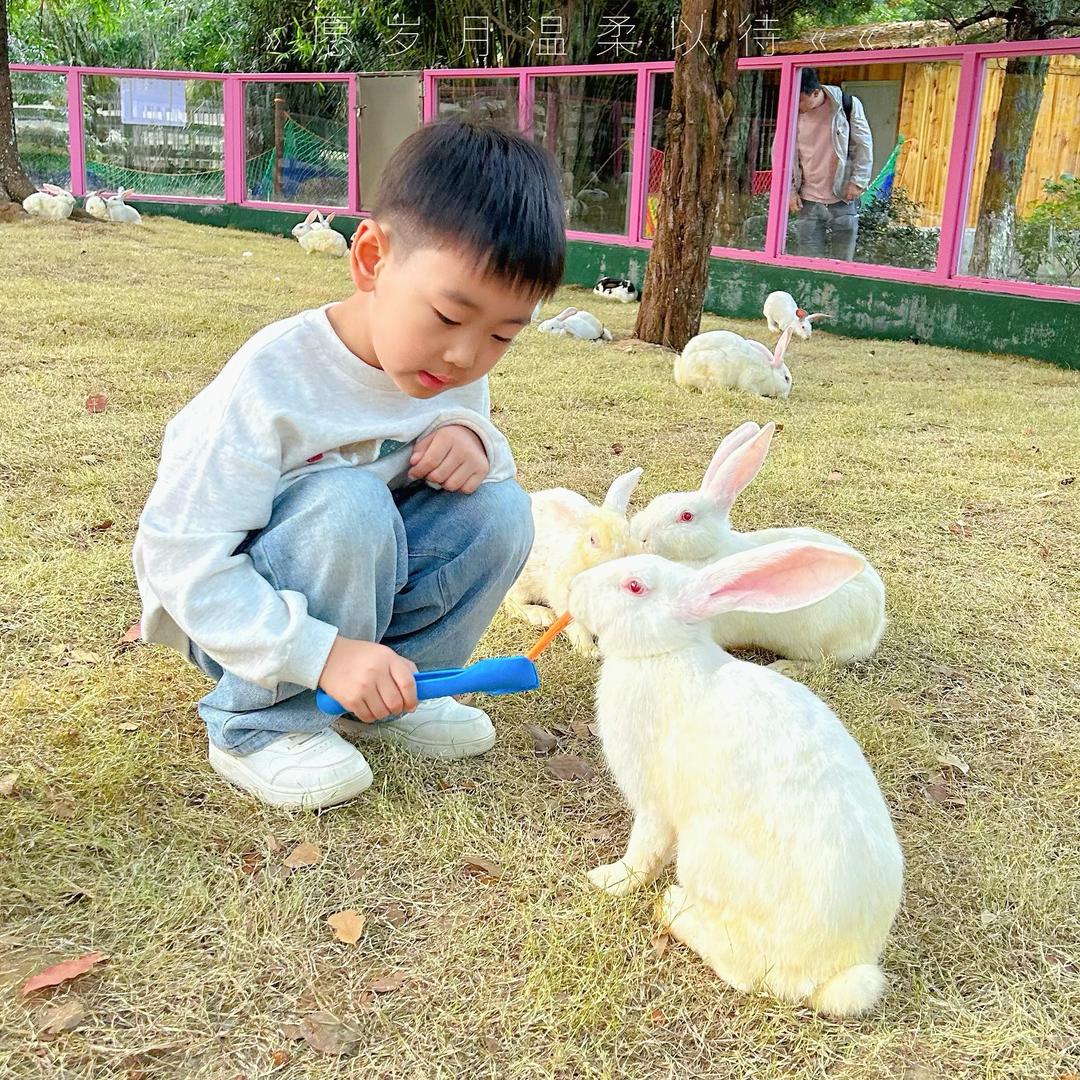 清平