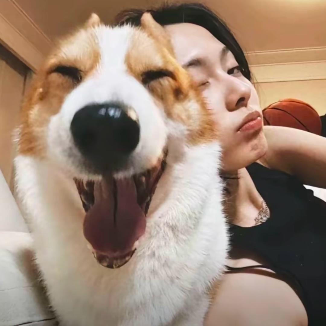 西鱼许