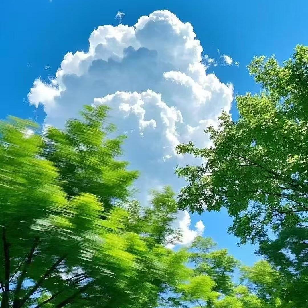 赵赵数码