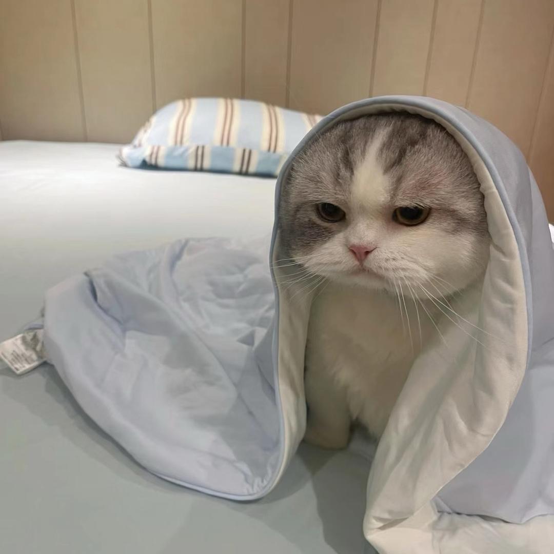 张～