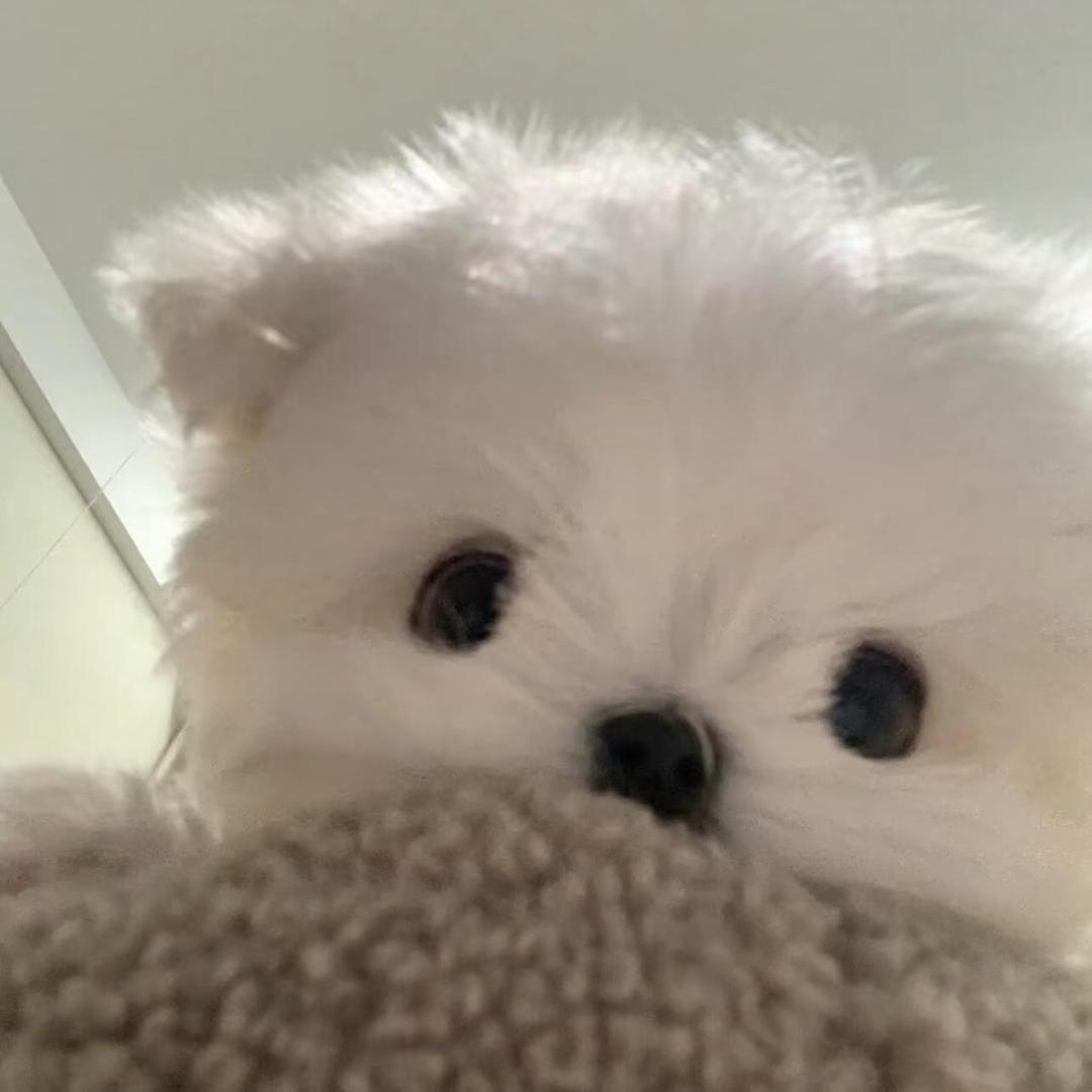 Jieee