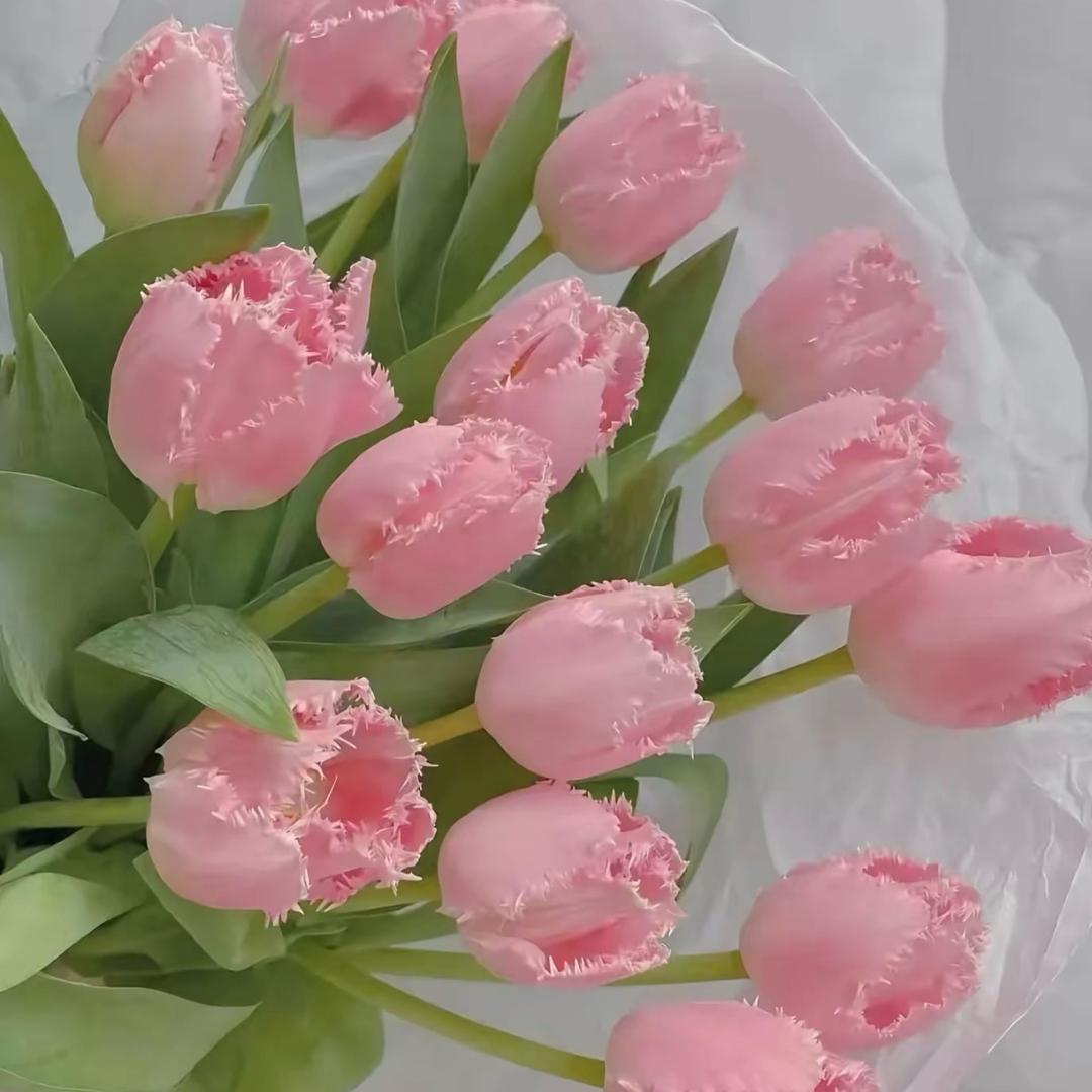 🌷🌷🌾🌾