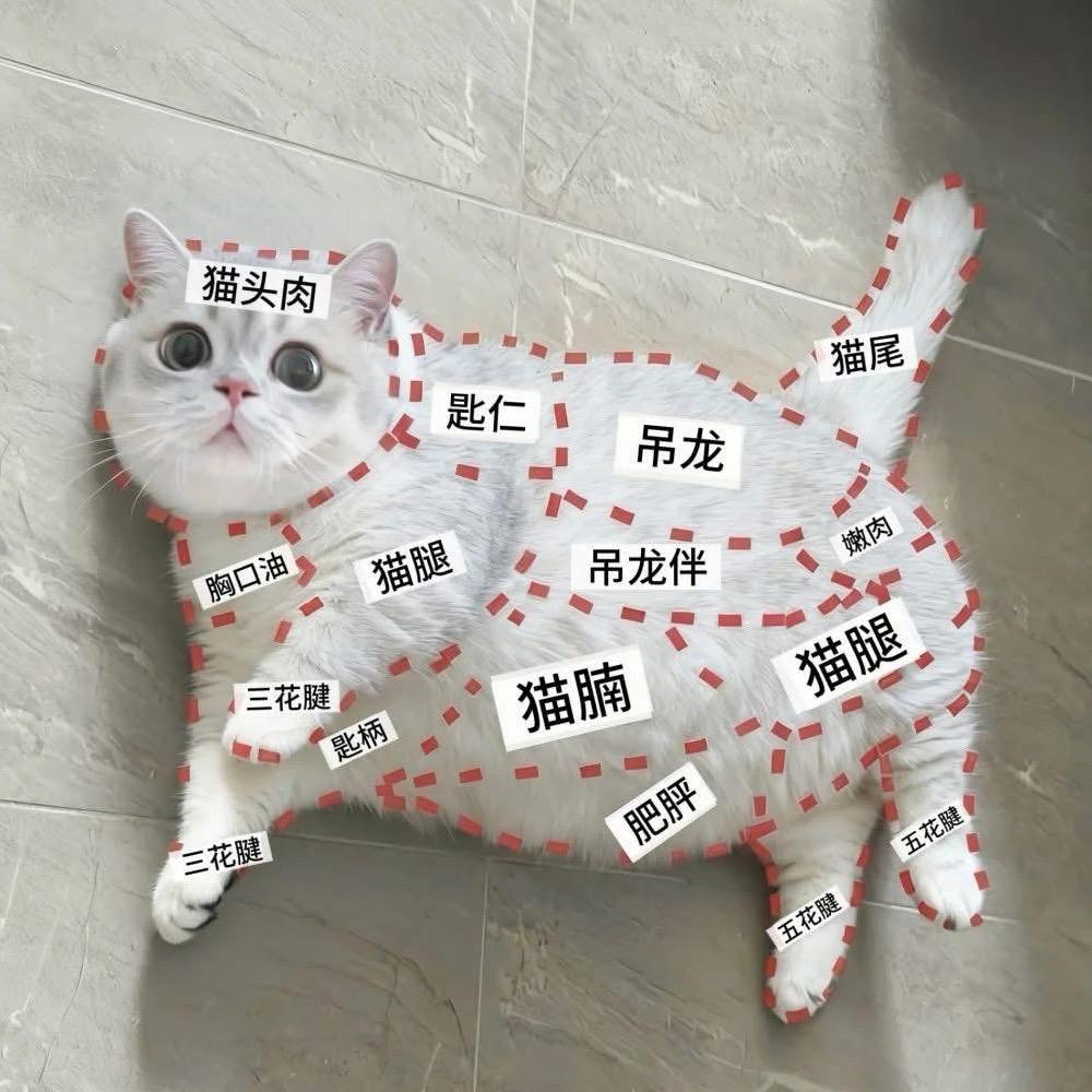 7.。·*