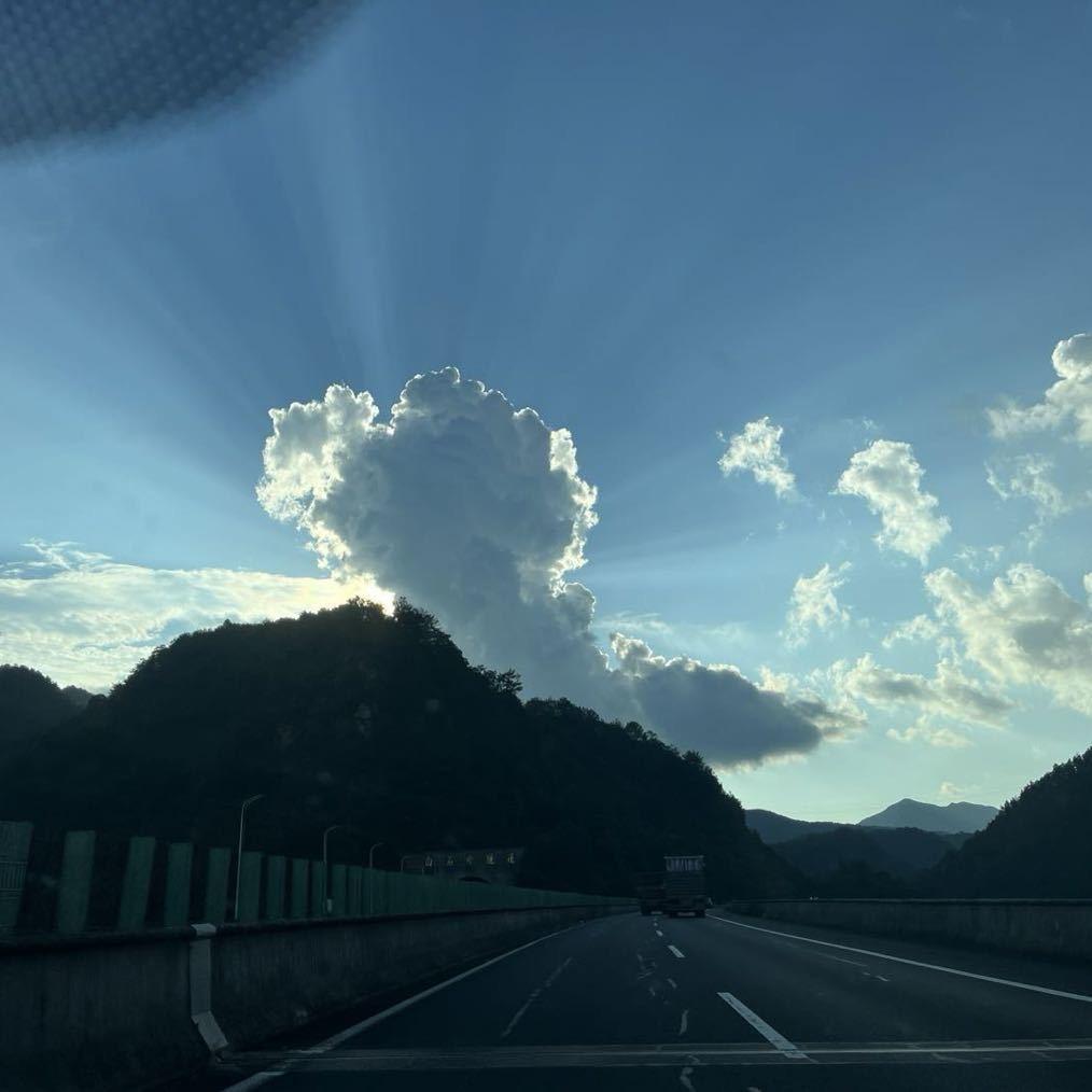 诠释淡然