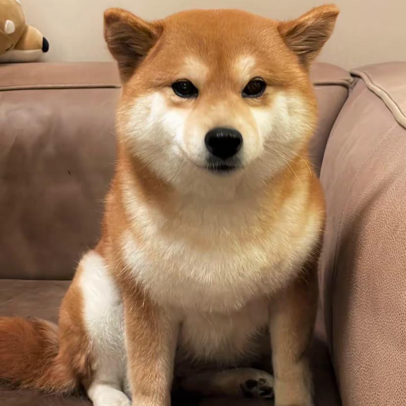 闭眼入好物