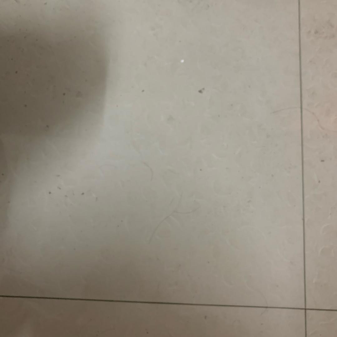 我是站西