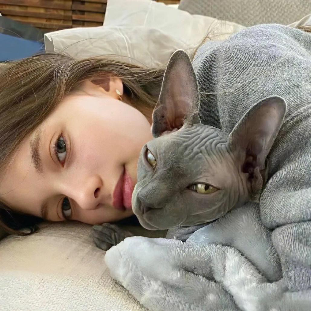 甜心鲨鱼🌾🥦