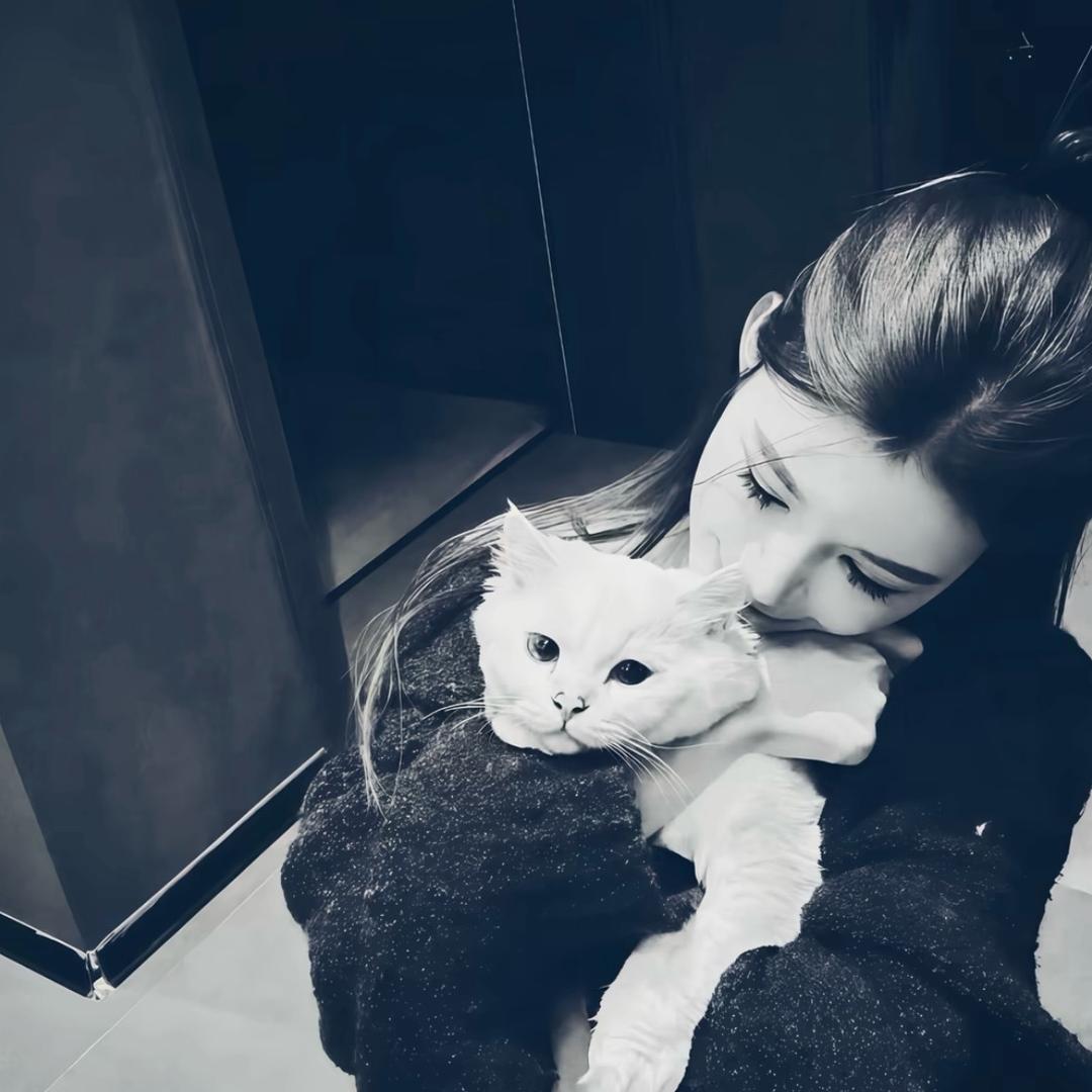 打断舔狗那条腿