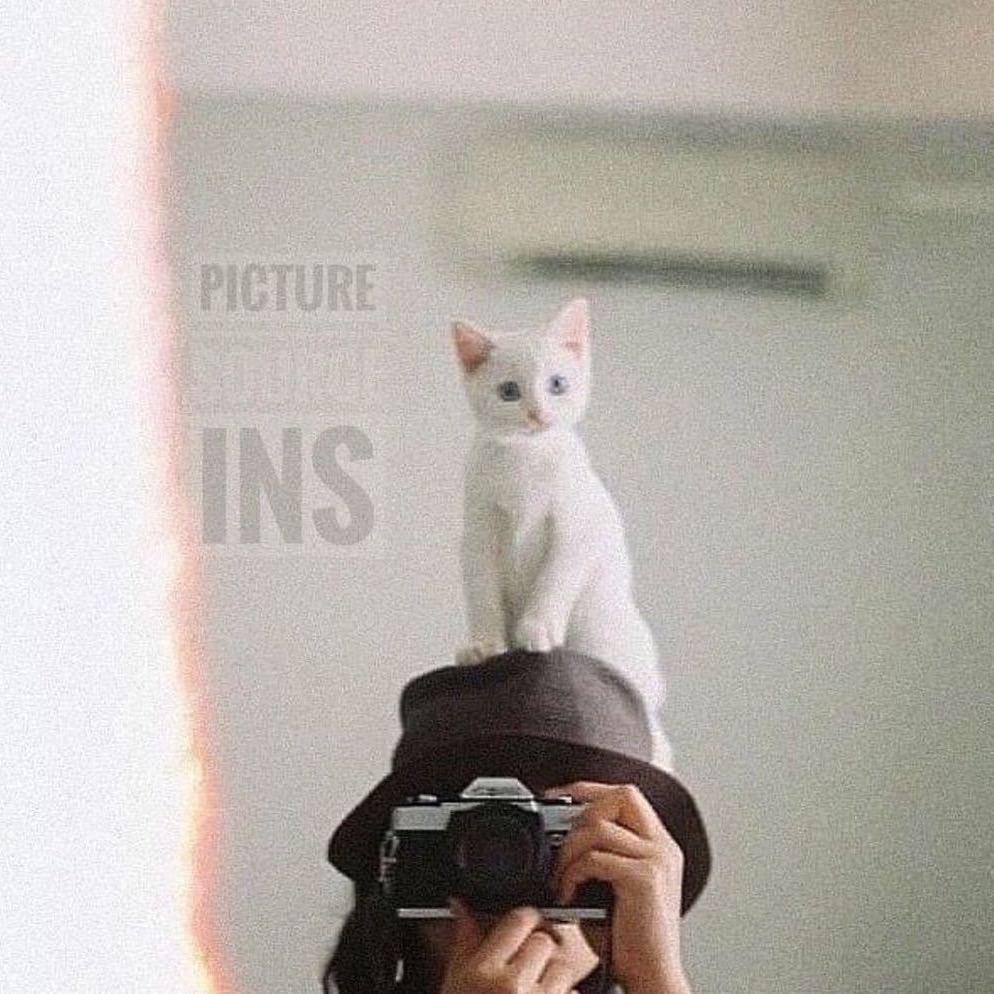 諪姨📷