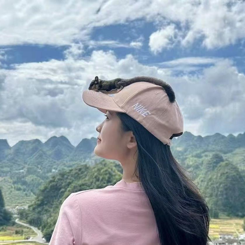 飞鼯蜜社宠物店