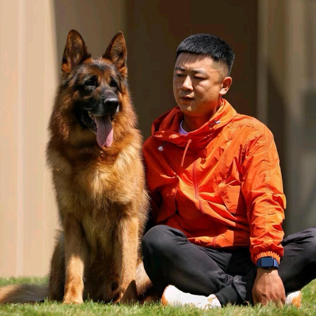 地哥