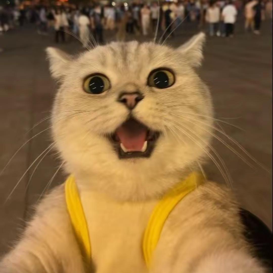 ^v^