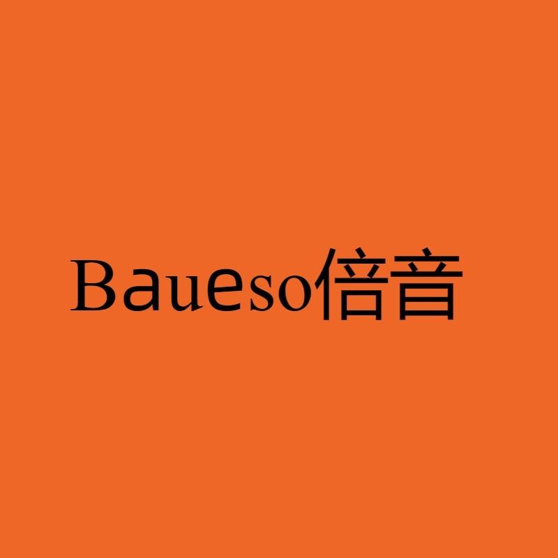 Baueso倍音数码