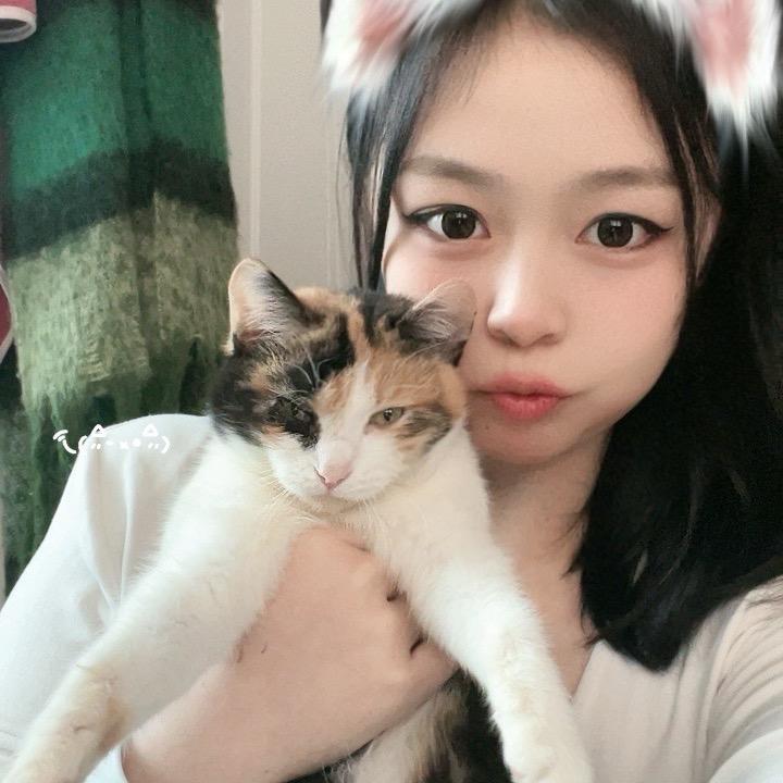 达不溜6