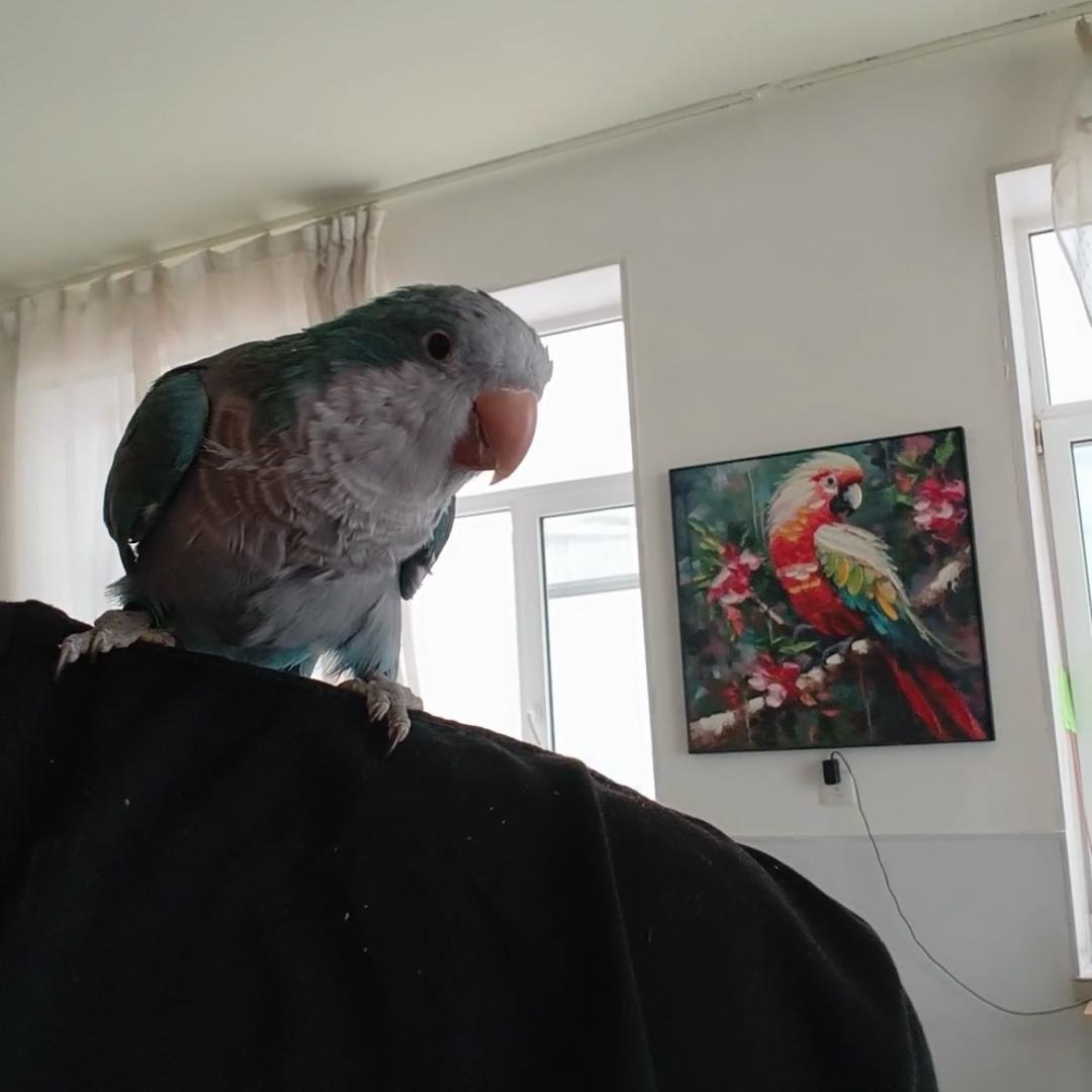 马踏飞燕