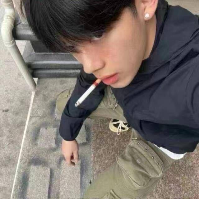 正义柳皮