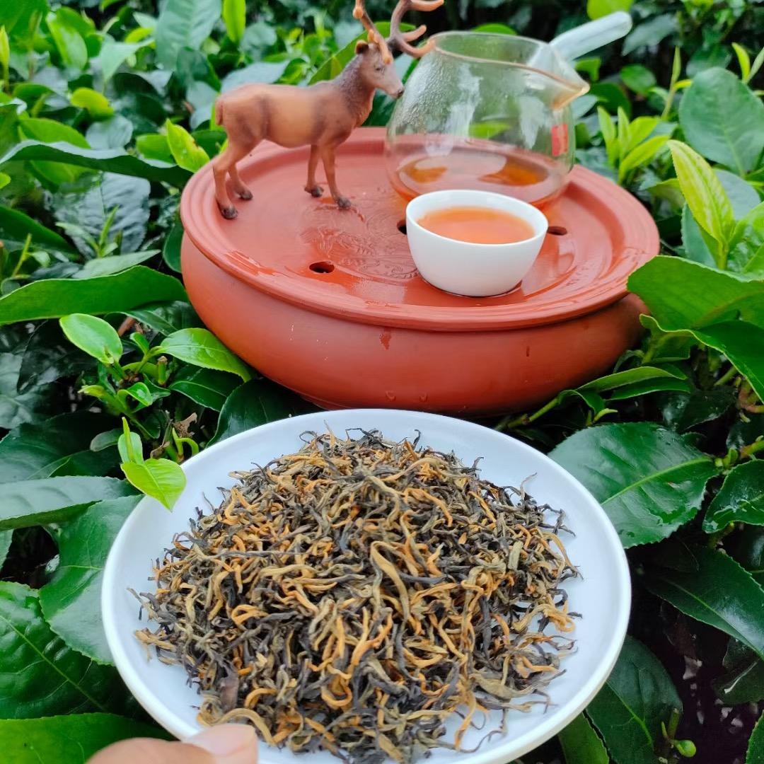 晨景茶叶供应链