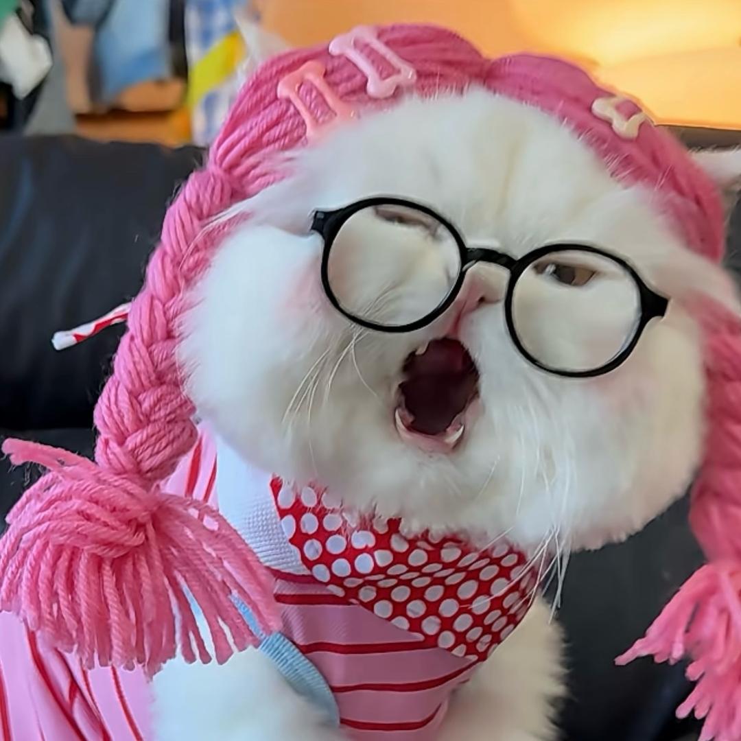 永恒之塔-仙女酵母乀