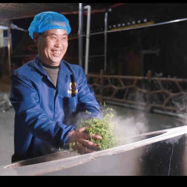 制茶人张万祥